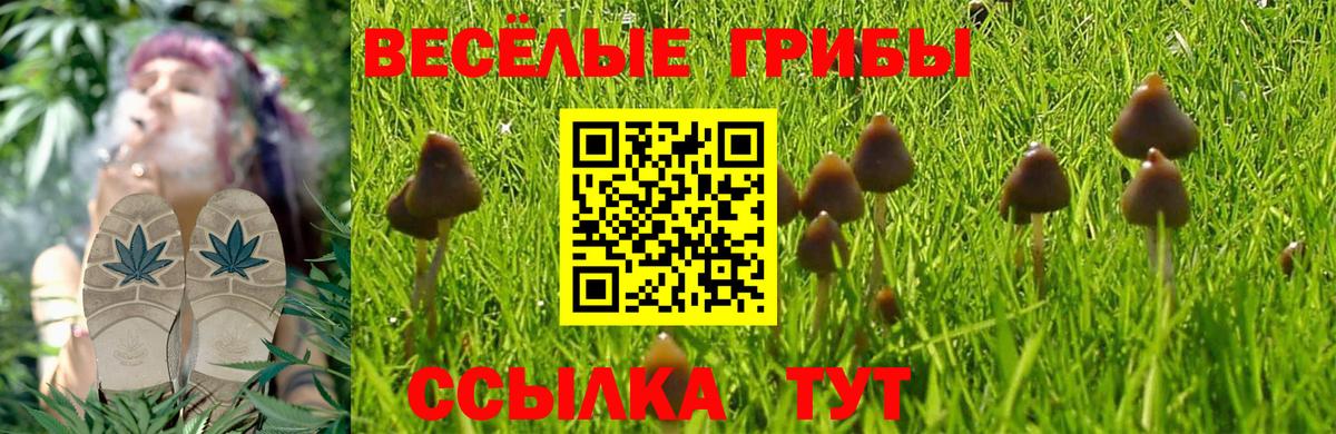 Галлюциногенные грибы MAGIC MUSHROOMS Малгобек