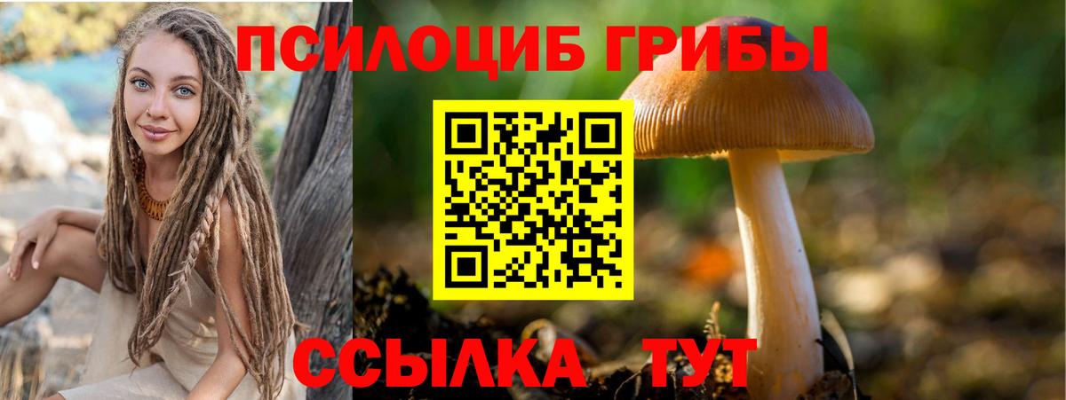 Псилоцибиновые грибы мицелий Малгобек